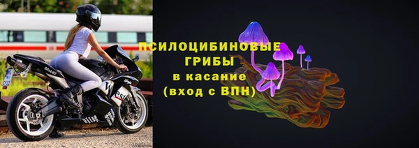 ГАЛЛЮЦИНОГЕННЫЕ ГРИБЫ Михайловск