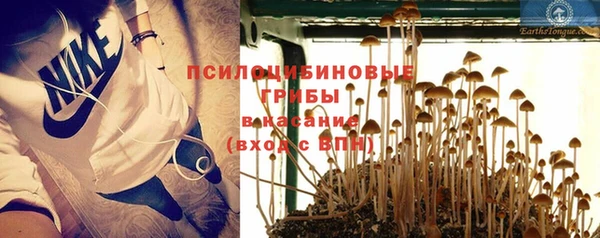 ГАЛЛЮЦИНОГЕННЫЕ ГРИБЫ Михайловка