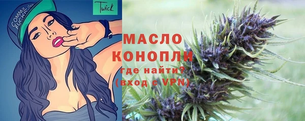твердый Медногорск
