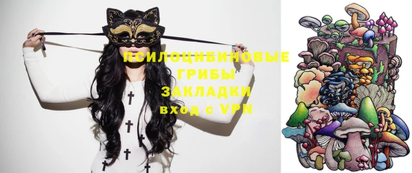 ГАЛЛЮЦИНОГЕННЫЕ ГРИБЫ Михайловск