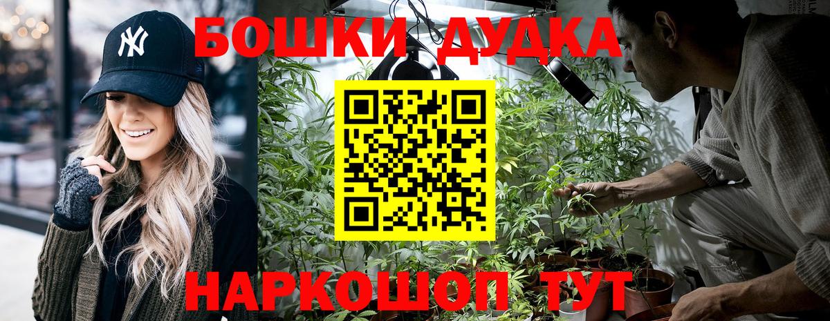 Россия  Конопля OG Kush  Вход с VPN  МАРИХУАНА сатива  Марихуана VHQ  Конопля конопля 